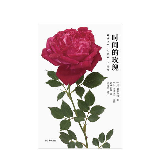时间的玫瑰 御巫由纪 著 玫瑰花 玫瑰历史 玫瑰故事 中信出版社图书 正版 商品图6