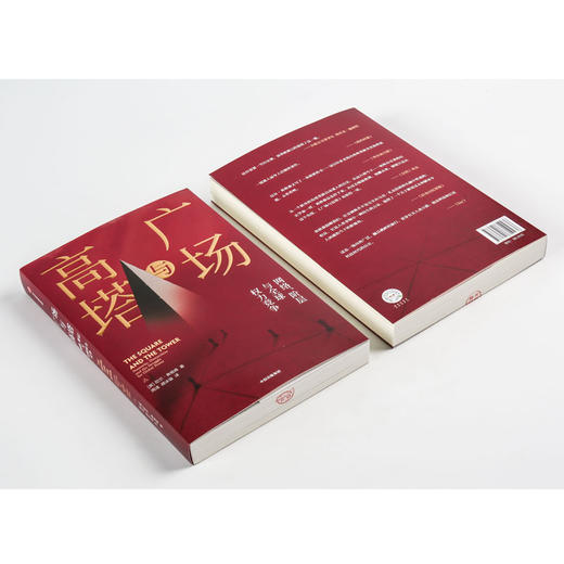 广场与高塔 尼尔弗格森 著 网络安全 全球竞争 社交网络 人际网格 互联网 大历史 中信出版社图书 正版 商品图6