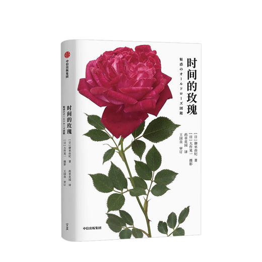 时间的玫瑰 御巫由纪 著 玫瑰花 玫瑰历史 玫瑰故事 中信出版社图书 正版 商品图7