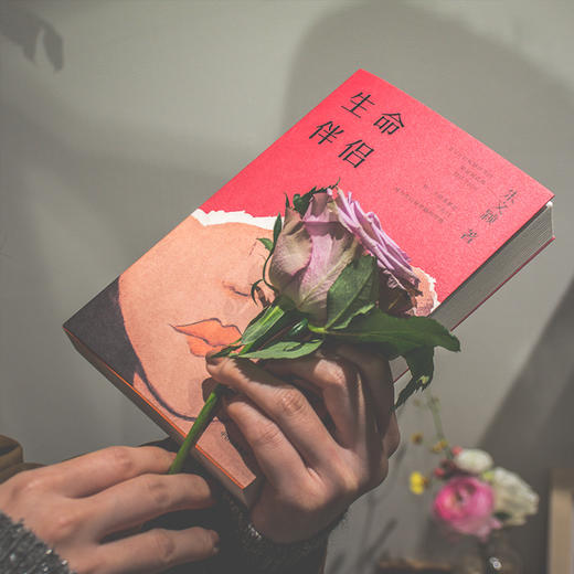 生命伴侣 朱文颖 著 爱与温情 情感世界 感情冒险与厄运 女性情感 当代小说 当代文学 中信出版社图书 正版 商品图6