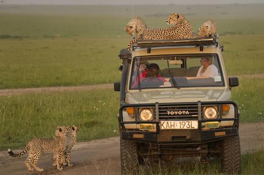 【预付】“畅游非洲.新地平线”万人游非洲活动 商品图1