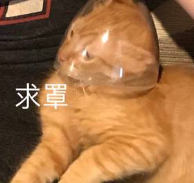 测试交易单号 - 勿动