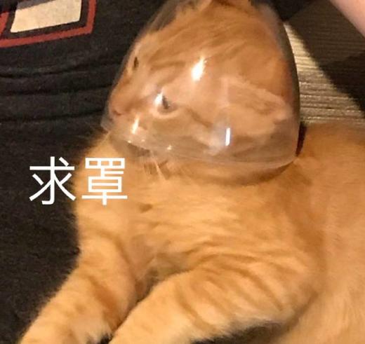 测试交易单号 - 勿动 商品图0