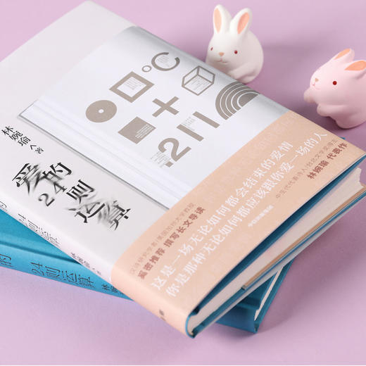 【新书】爱的24则运算  林婉瑜 著 爱情文学诗歌 商品图1