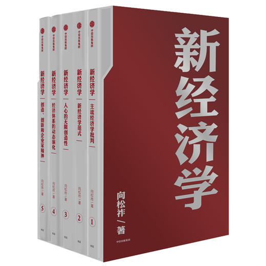 新经济学 向松祚 著  经济学研究新范式 无限创造性 经济体系 行为经济学  中信出版社图书 正版 商品图0