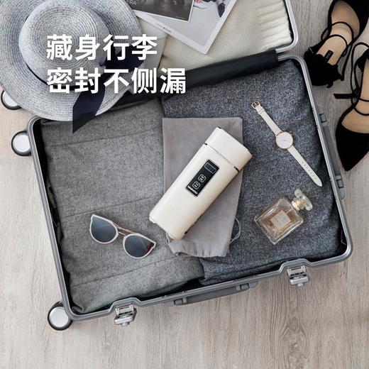 韩国大宇便携式烧水壶电热水壶家用全自动煮水小型迷你旅行保温杯理卫 商品图4