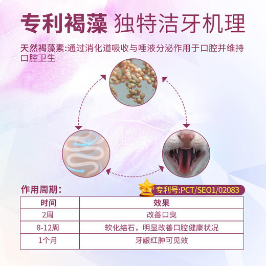 博乐丹猫犬通用洁牙粉5g 商品图1