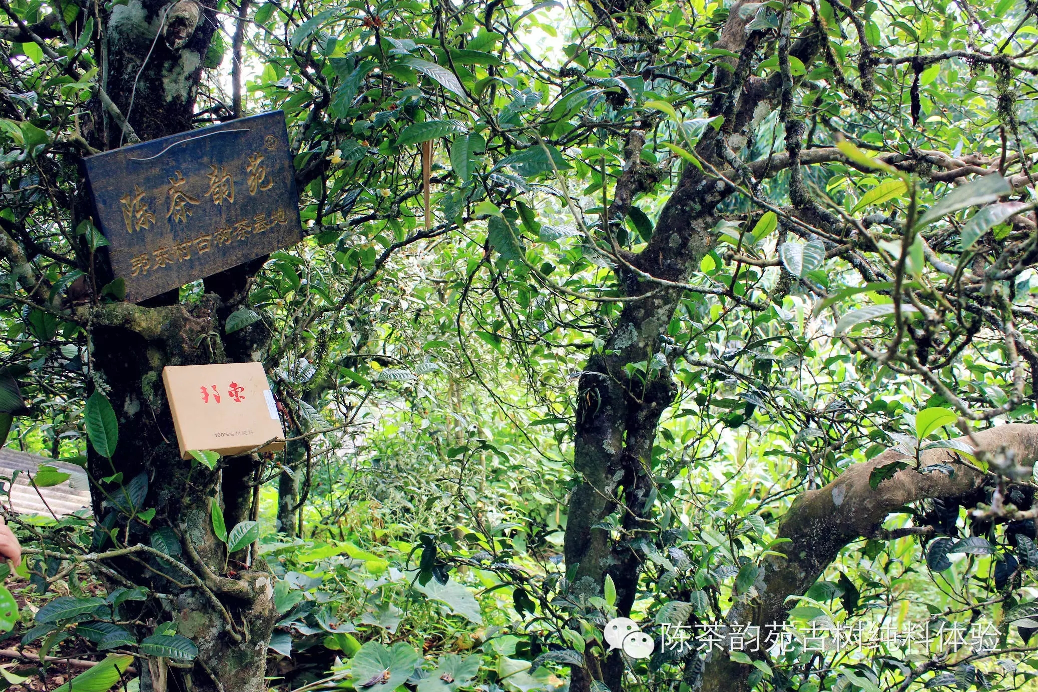 images