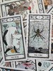 印第安人塔罗牌 正版进口意大利制作 商品缩略图10