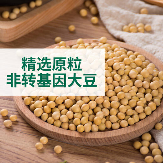 李锦记 酱油 蒸鱼豉油 清蒸海鲜酱油 207ml 商品图3