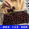 【朱珠水果】智利车厘子 商品缩略图1
