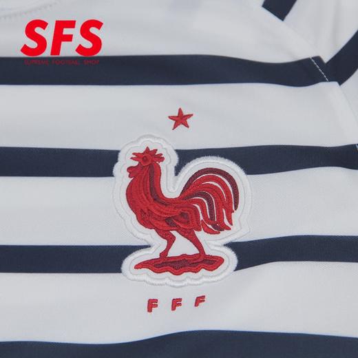 SFS耐克正品2018世界杯法国训练服 赛前热身服 运动T恤男893359 商品图2