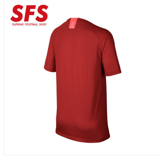 SFS耐克正品2019广州恒大主场儿童球衣 大童短袖球迷服AR8703-612 商品图1