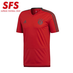 SFS阿迪达斯正品1819赛季拜仁比赛训练服 赛前热身球衣男 CW7261