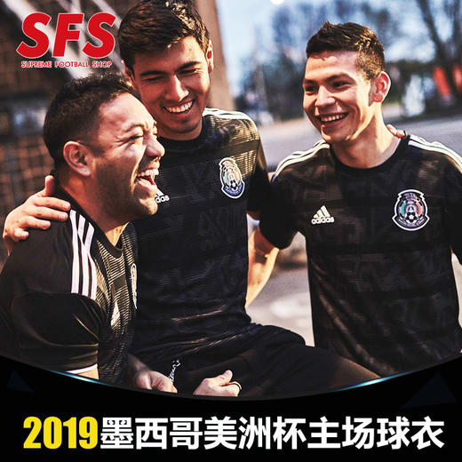 SFS阿迪达斯正品2019美洲杯墨西哥主场球衣 短袖球迷服男 DP0206 商品图0