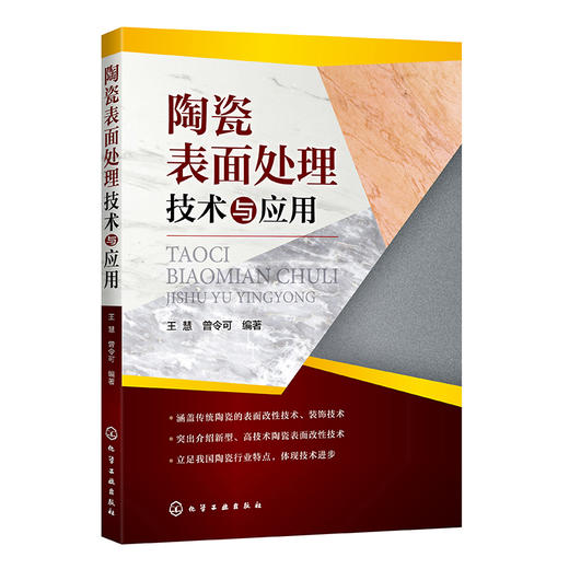陶瓷表面处理技术与应用 商品图0