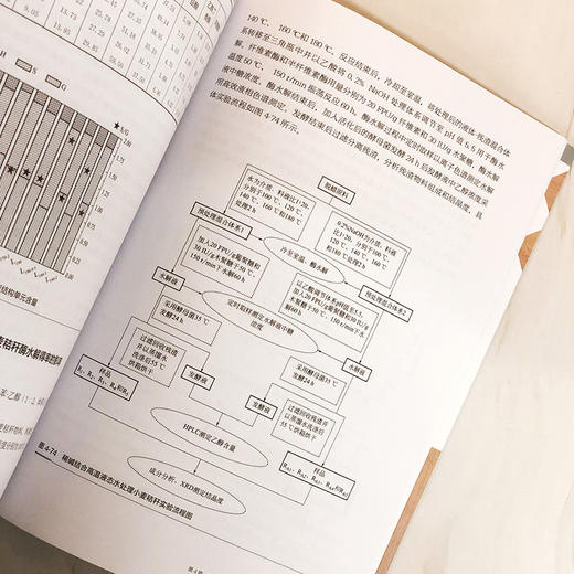 木质纤维生物质的预处理技术 商品图3