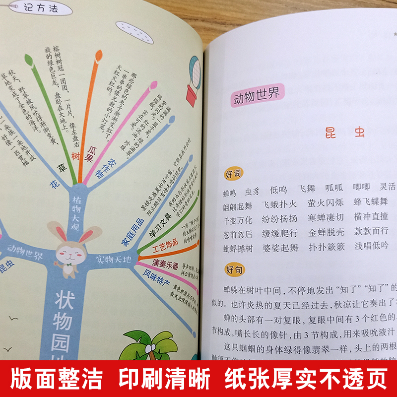 思维导图作文 中学生好词好句好段