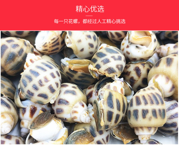 【乐阳江】海虾海胆花螺任选,25.8元起!海虾海螺任买2