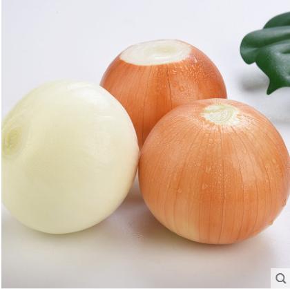 圆葱500g 商品图1