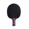 STIGA斯帝卡Hybrid Wood 纳米碳王9.8斯蒂卡正品行货 商品缩略图2