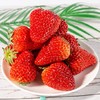 沙地红颜草莓400克3盒 商品缩略图0