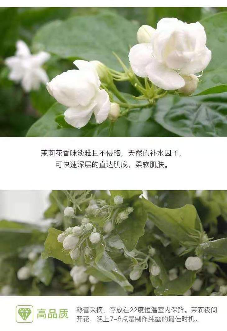 明明严选--小花茉莉纯露