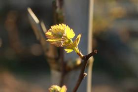  邪不压正 未来可期 