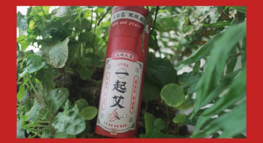 一起艾，艾灸扶阳，增强体质 商品图1