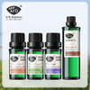 促进消化组合（甜茴香精油10ml+甜橙精油10ml+快乐鼠尾草精油10ml+甜杏仁油100ml） 商品缩略图0