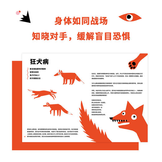 《瞧！这些病》读小库5-10岁 医学科普 生活常识 摸清30种常见病的底细 商品图1