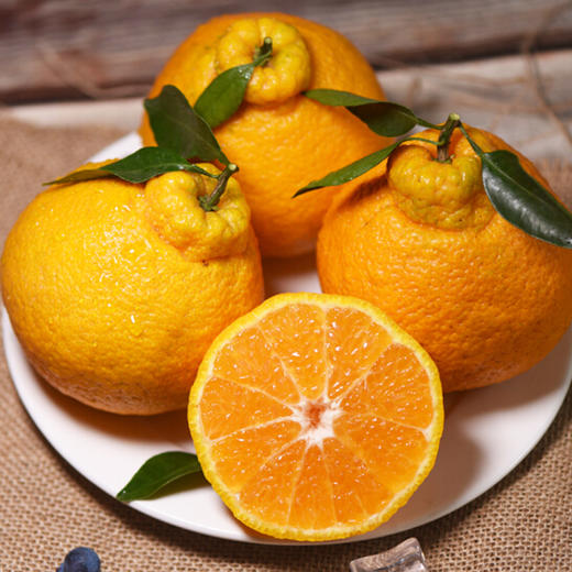 【新品上市】丑柑（特大果） 商品图4