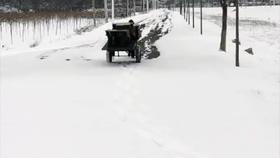 当倒春寒太频繁时，我们该怎样守护健康？