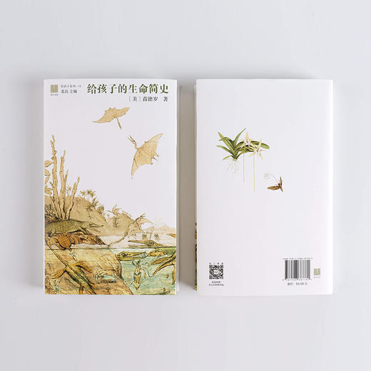 【11-15岁】给孩子的生命简史 给孩子系列10 苗德岁 著 北岛主编，基因科学和生命历史的精彩解读 中信出版社童书 商品图4