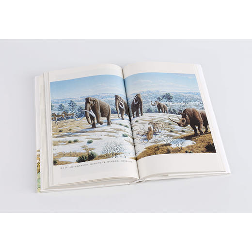 【11-15岁】给孩子的生命简史 给孩子系列10 苗德岁 著 北岛主编，基因科学和生命历史的精彩解读 中信出版社童书 商品图8