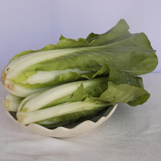 小白菜500g【限西昌市区购买】 商品图1