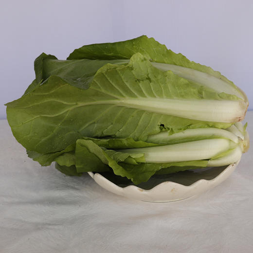 小白菜500g【限西昌市区购买】 商品图0
