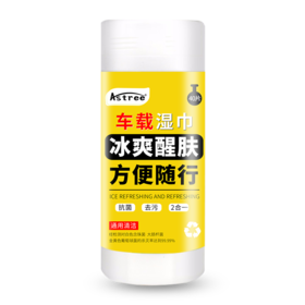 Astree 车居用清洁湿巾 40抽