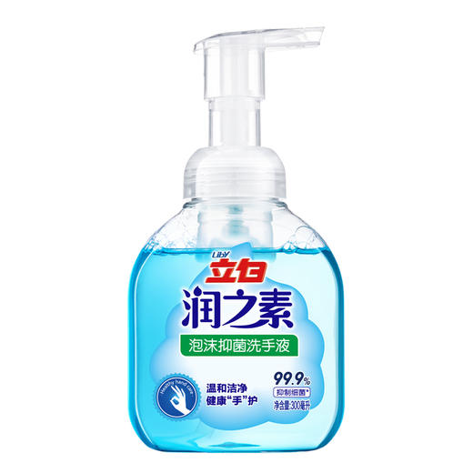 【2月15日起发货】润之素 泡沫除菌抑菌洗手液300ml 商品图1