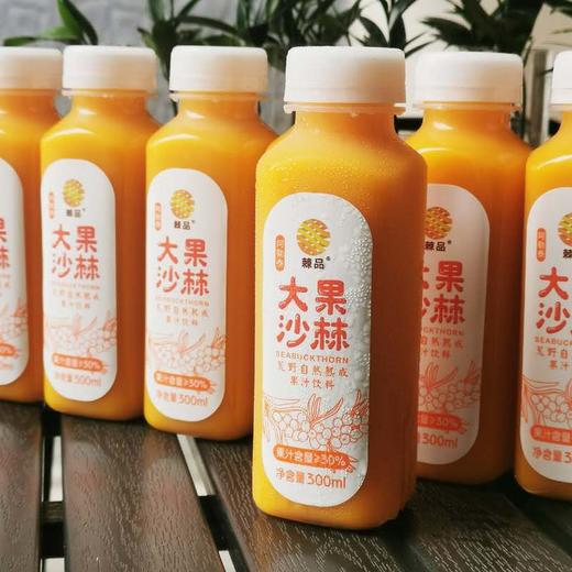 大果沙棘果汁整箱 健康饮品300ML*12瓶 商品图0