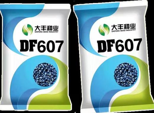 DF607 商品图0
