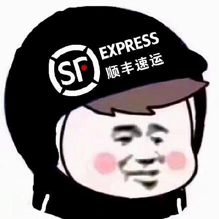 顺丰快递+15元邮费（需与订单同拍）
