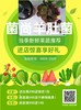 益嘉德测试 商品缩略图0