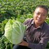 生态大白菜 | 合作生产 *Eco-Chinese Cabbage | Coprodution 商品缩略图0