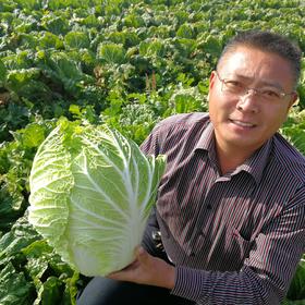 生态大白菜 | 合作生产 *Eco-Chinese Cabbage | Coprodution