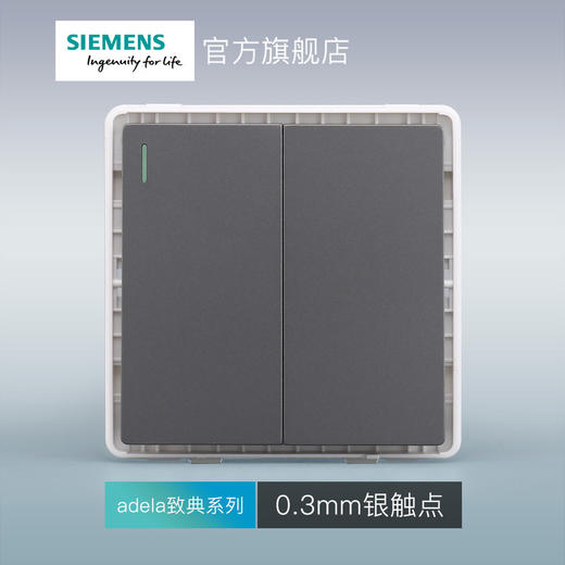 西门子开关插座面板致典深灰银二开双控带荧光 商品图3