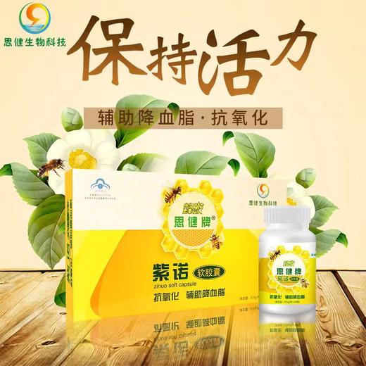 思健牌紫诺蜂胶软胶囊辅助降血脂抗氧化品牌直营正品送礼父母2瓶/盒 商品图2