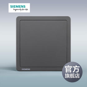 西门子开关插座面板致典深灰银一位中途开关