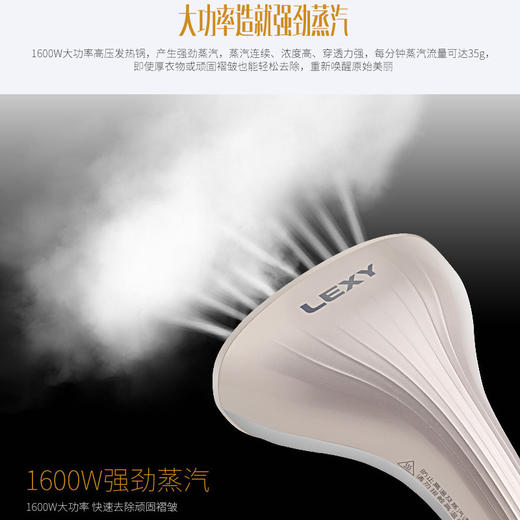 莱克挂烫机GT306单杆设计经典造型 商品图5