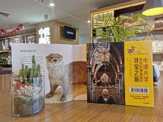 牛津大学自然史博物馆的寻宝之旅 [英] 凯特·迪思顿 佐薇·西蒙斯 著 中信出版社-分销 商品图6
